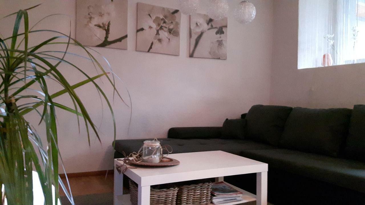 Schneckenhaus Appartement Würzburg Buitenkant foto